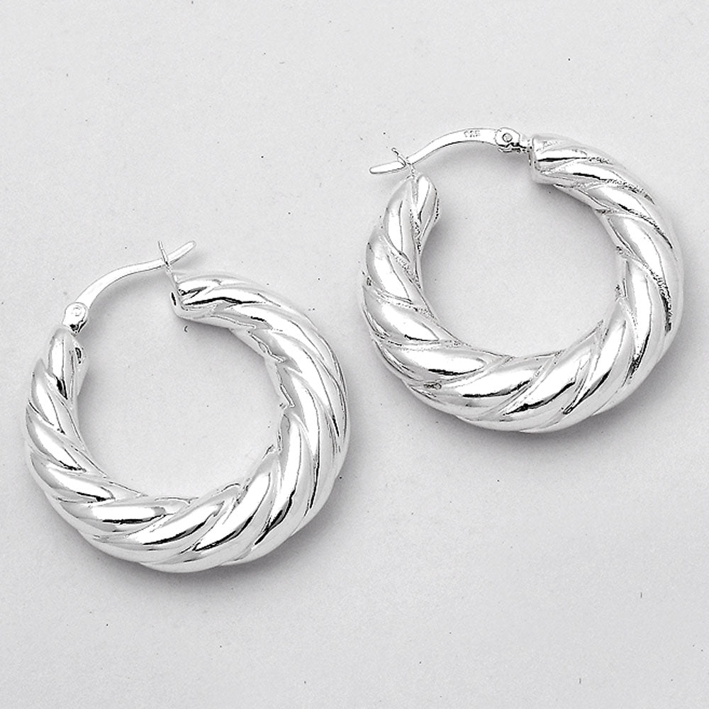 Twisted Hoop Earrings DGE1040-1