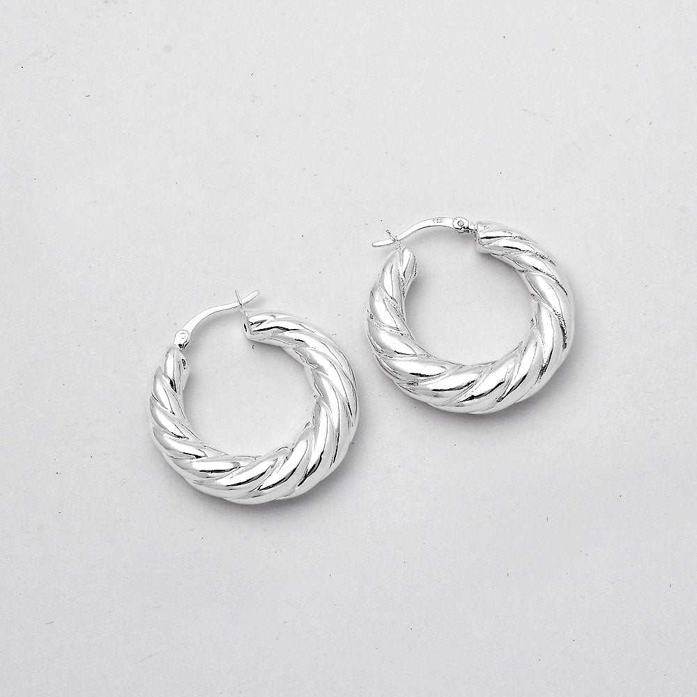 Twisted Hoop Earrings DGE1040-4
